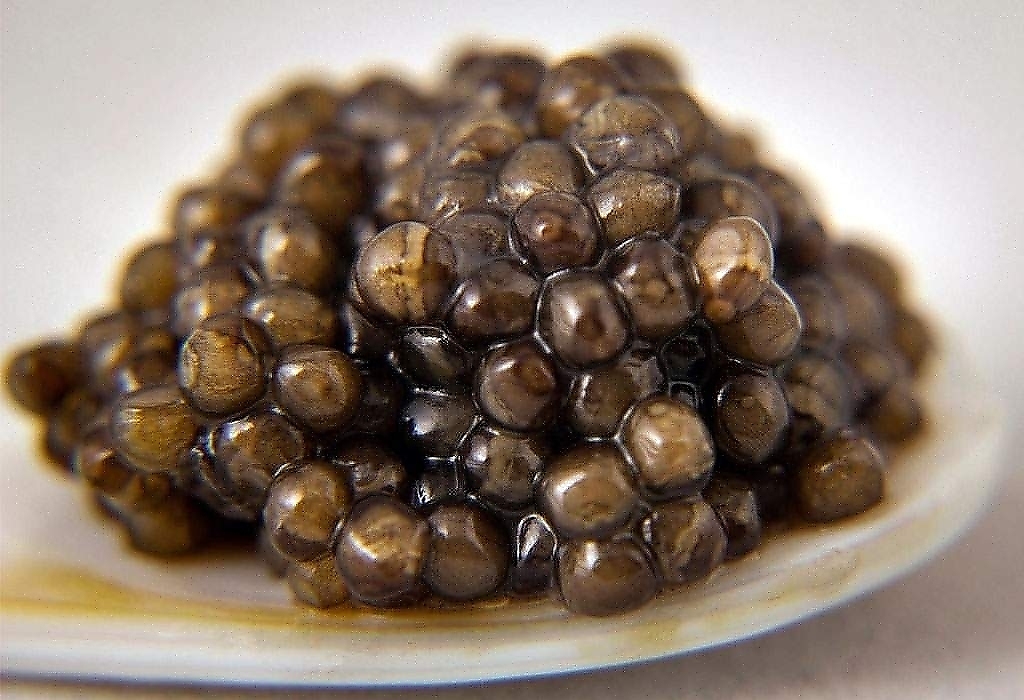 Iranischer Kaviar